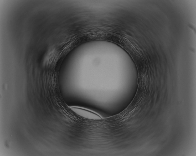 X0000094951250200711291057