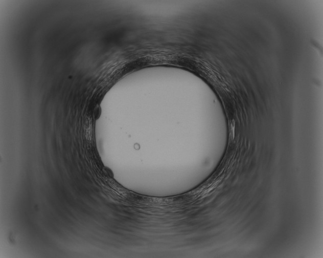 X0000094951251200711291057