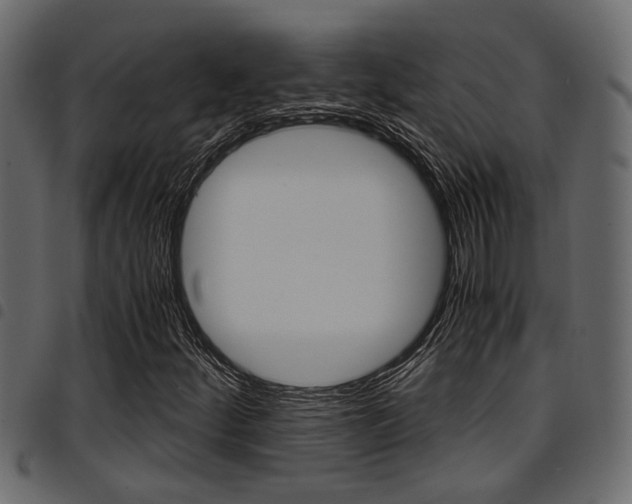 X0000094951252200711291057