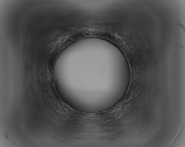 X0000094951253200711291057