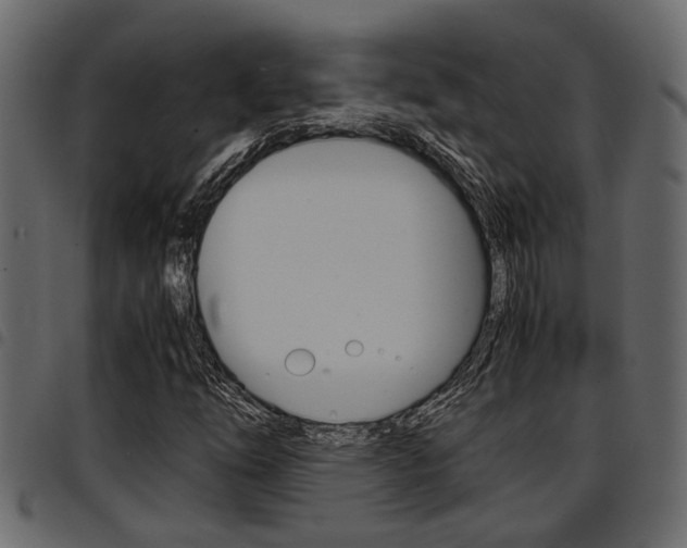 X0000094951254200711291057