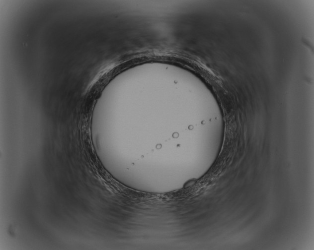 X0000094951255200711291057
