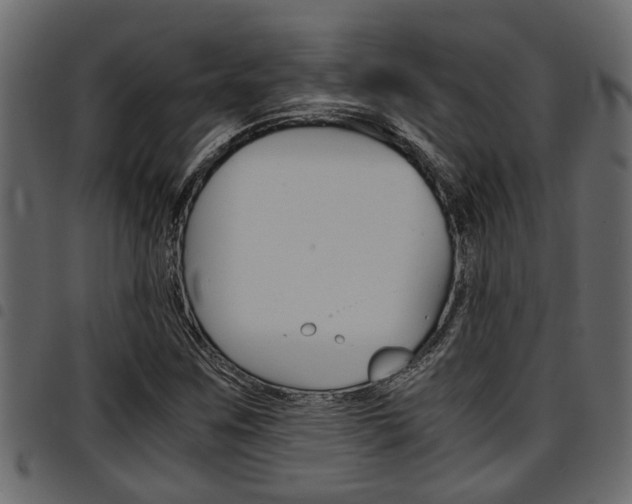 X0000094951259200711291057