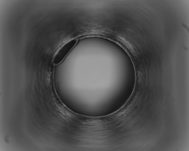 X0000094951260200711291057