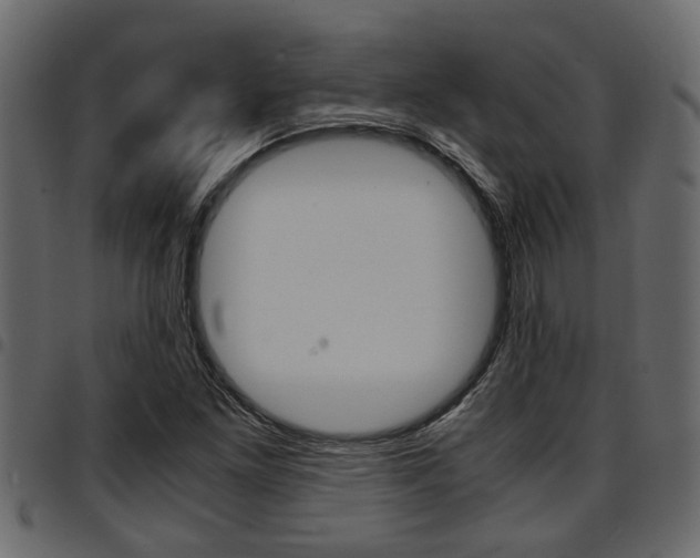 X0000094951261200711291057