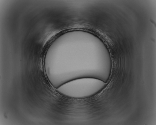 X0000094951262200711291057