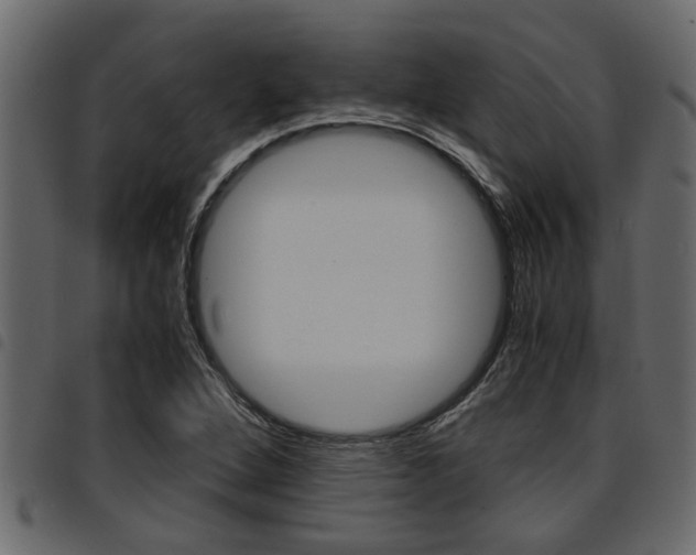 X0000094951264200711291057