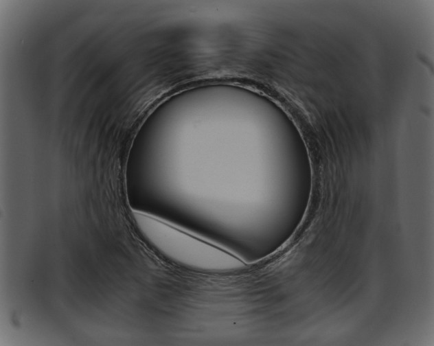 X0000094951265200711291057
