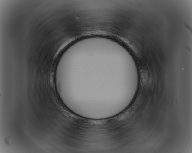 X0000094951266200711291057