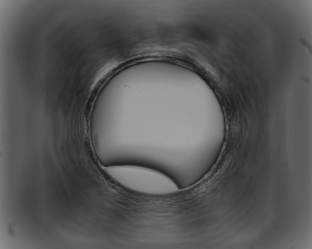 X0000094951267200711291057