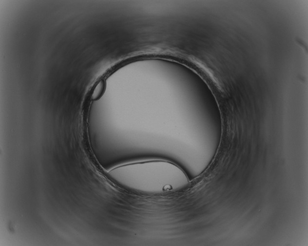 X0000094951270200711291057