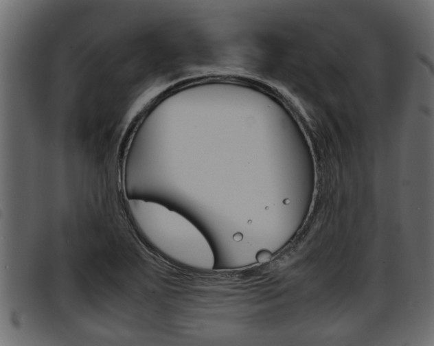 X0000094951271200711291057
