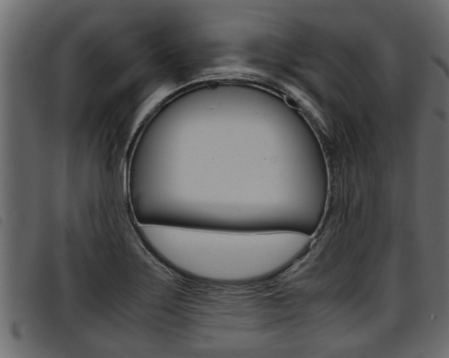 X0000094951275200711291057