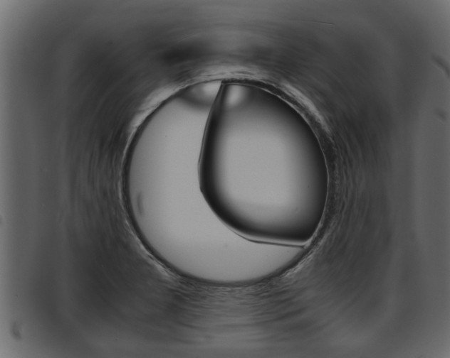 X0000094951277200711291057