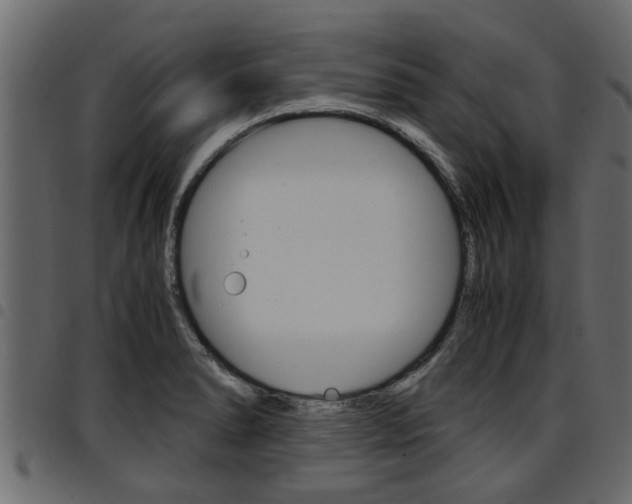 X0000094951278200711291057