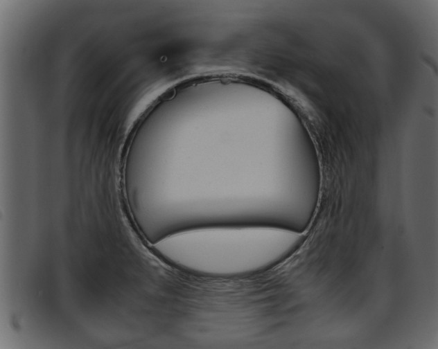 X0000094951279200711291057