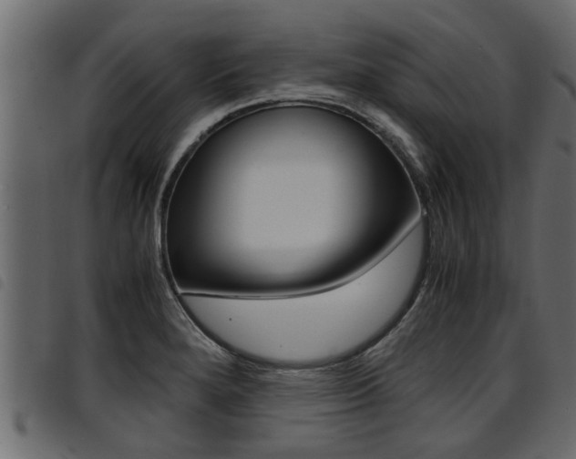 X0000094951280200711291057