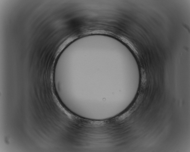 X0000094951282200711291057