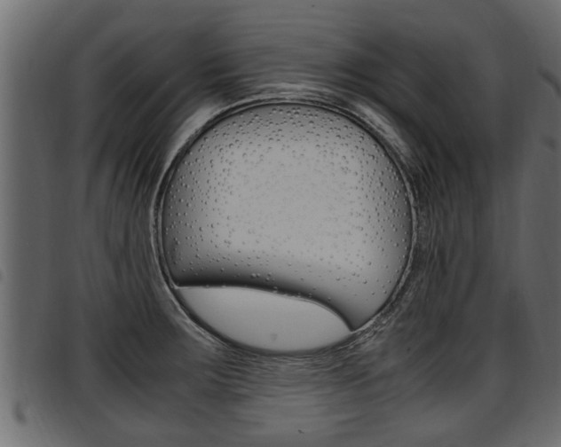 X0000094951283200711291057