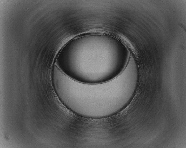 X0000094951284200711291057