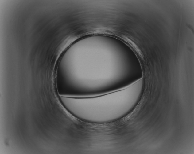 X0000094951285200711291057