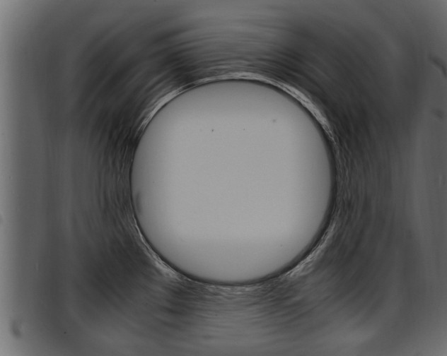 X0000094951289200711291057
