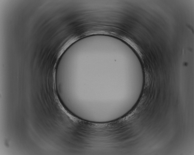 X0000094951290200711291057