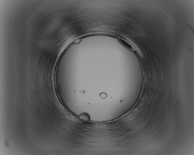X0000094951291200711291057