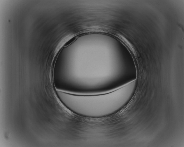 X0000094951293200711291057