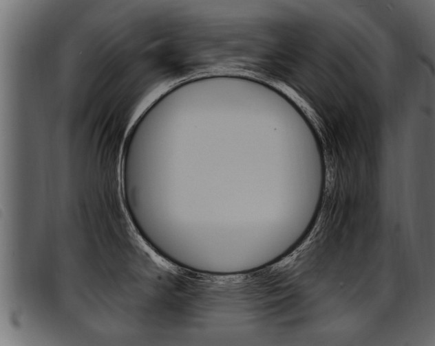 X0000094951294200711291057