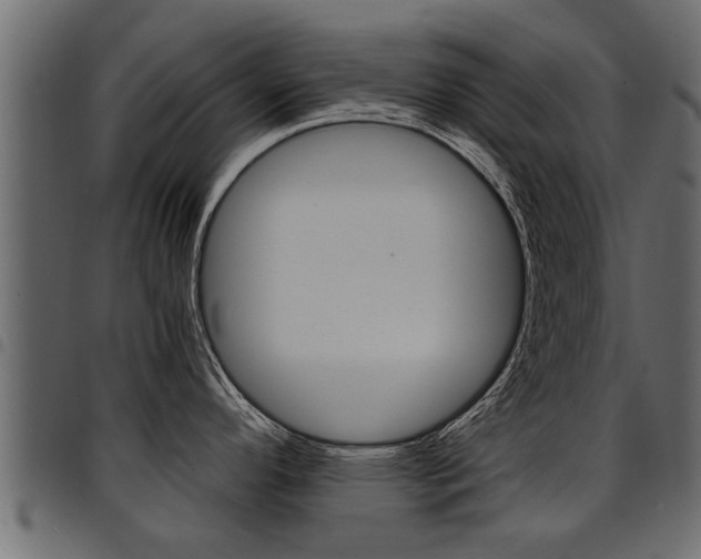 X0000094951296200711291056