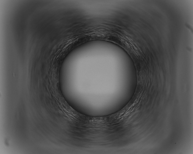 X0000094951297200711291056