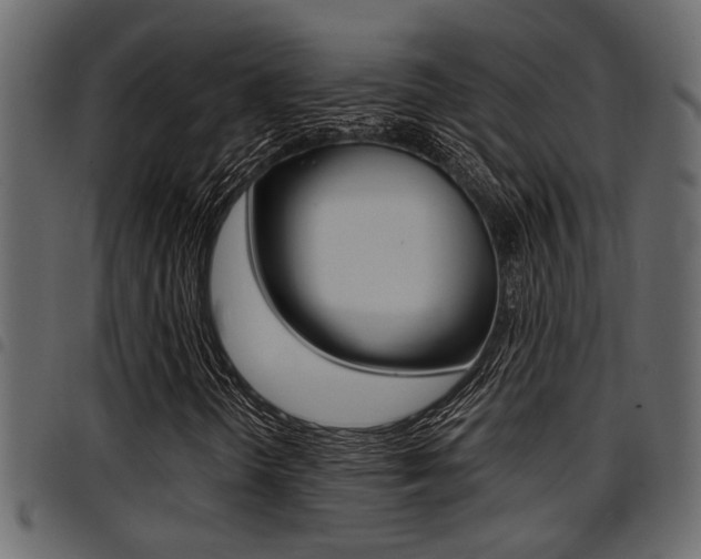 X0000094951298200711291056