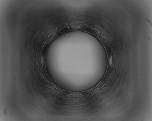 X0000094951299200711291056