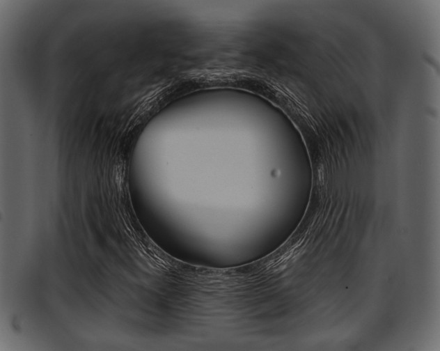 X0000094951300200711291056
