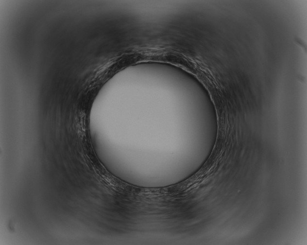 X0000094951301200711291056
