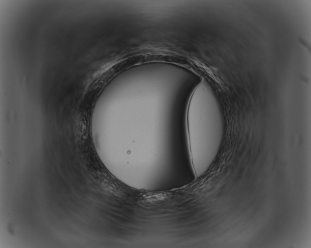 X0000094951303200711291056