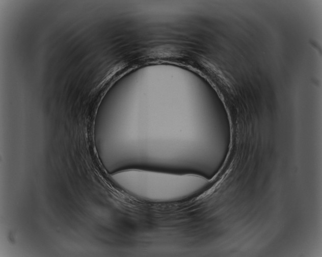X0000094951305200711291056