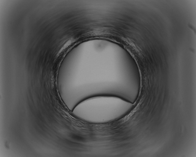 X0000094951306200711291056