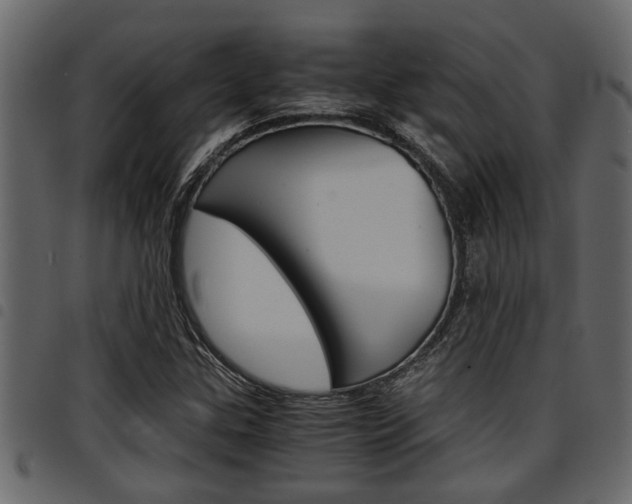 X0000094951307200711291056