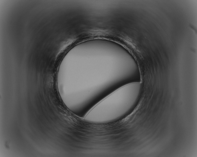 X0000094951309200711291056