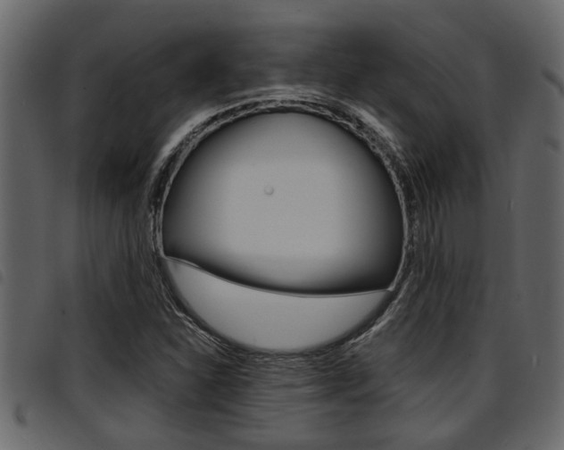 X0000094951310200711291056