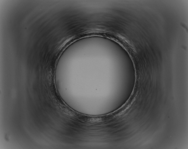 X0000094951313200711291056