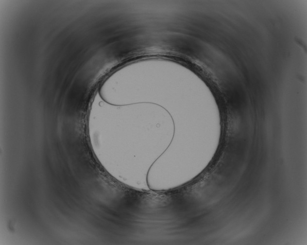 X0000094951314200711291056