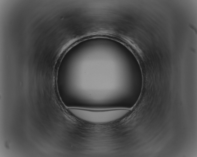 X0000094951316200711291056