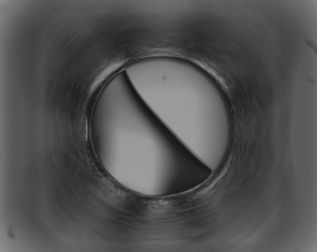 X0000094951317200711291056