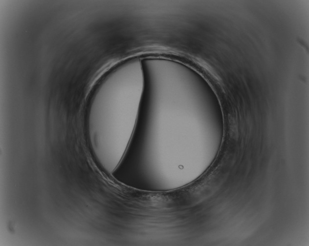 X0000094951318200711291056