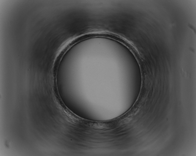 X0000094951319200711291056