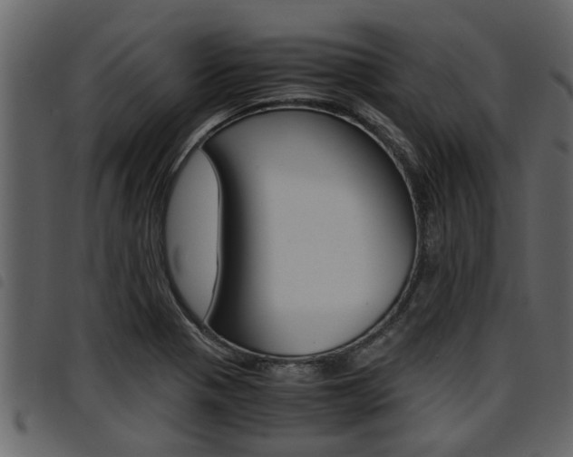 X0000094951321200711291056