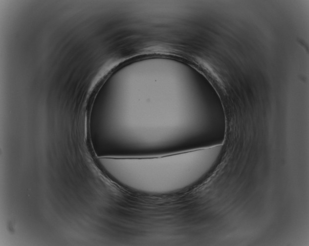 X0000094951323200711291056